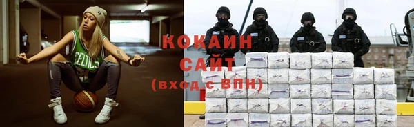 метадон Алексин