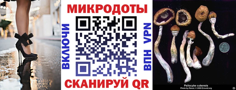 Галлюциногенные грибы Psilocybine cubensis  цена наркотик  Большой Камень 