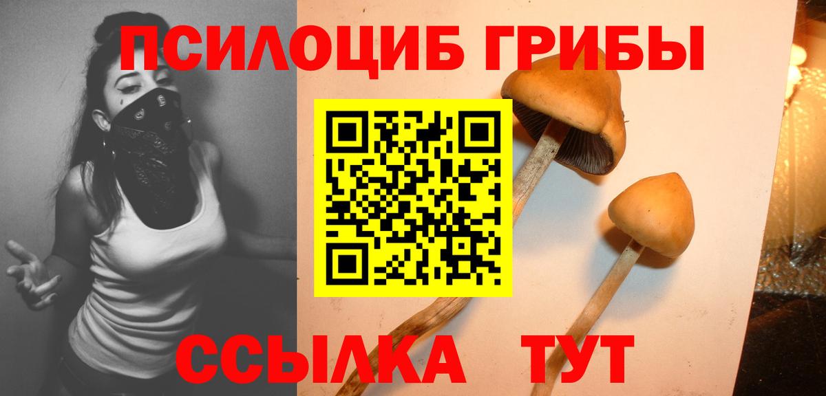 Галлюциногенные грибы GOLDEN TEACHER  Вход с VPN  Большой Камень 